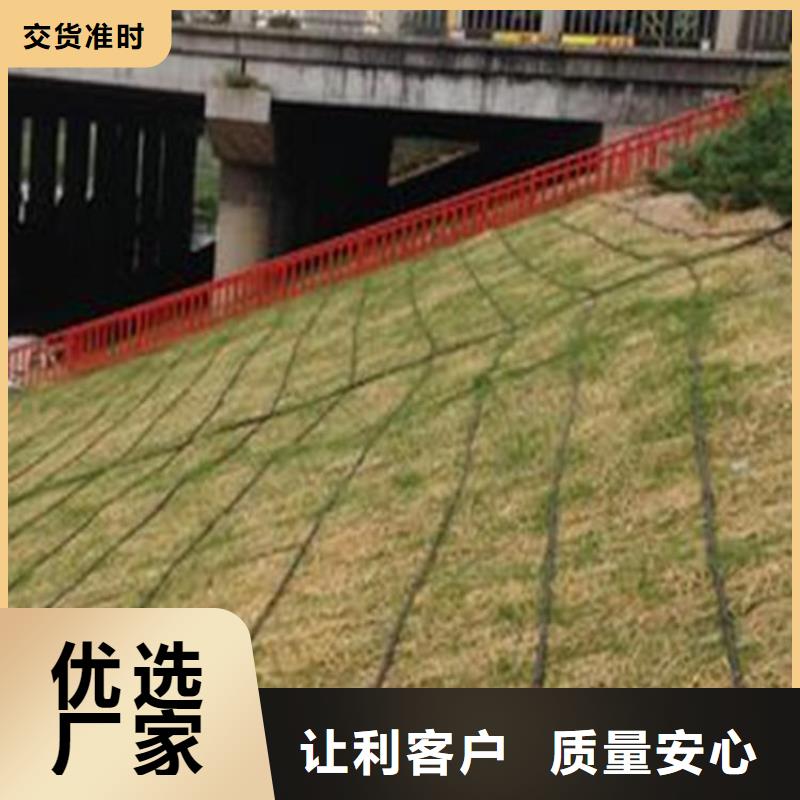椰絲毯-生態(tài)草毯-護坡椰絲毯