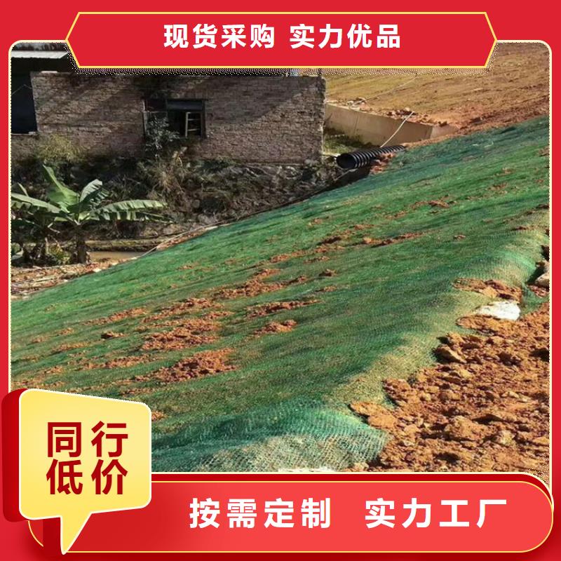椰丝毯土工布高性价比