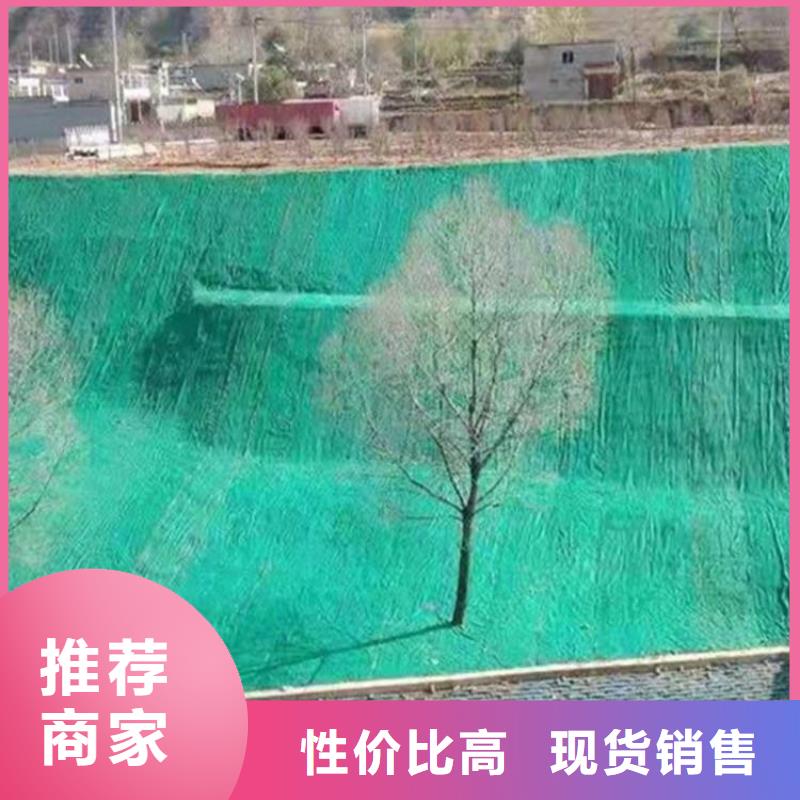 椰丝护坡毯椰丝护坡毯