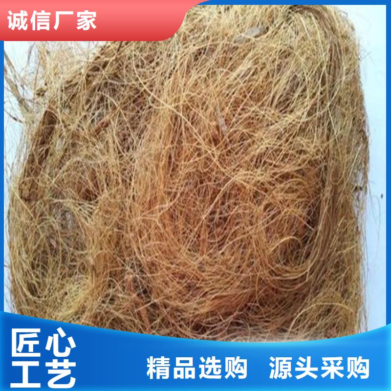 椰丝护坡毯椰丝护坡毯