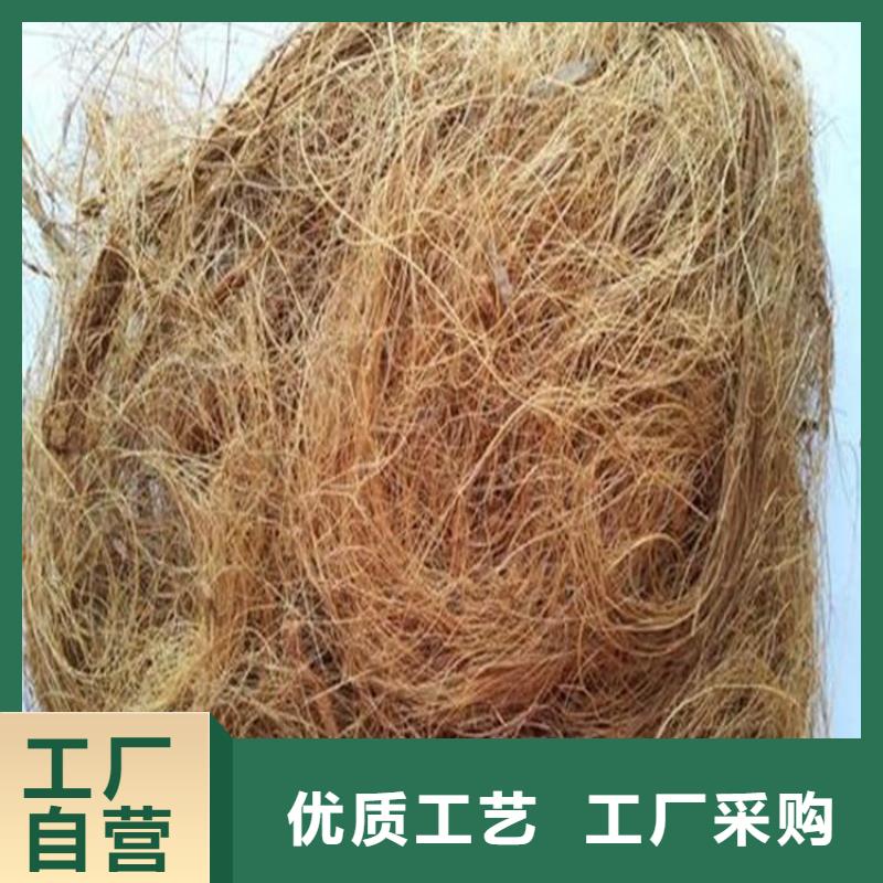 椰絲毯抗裂貼用心做好細節(jié)
