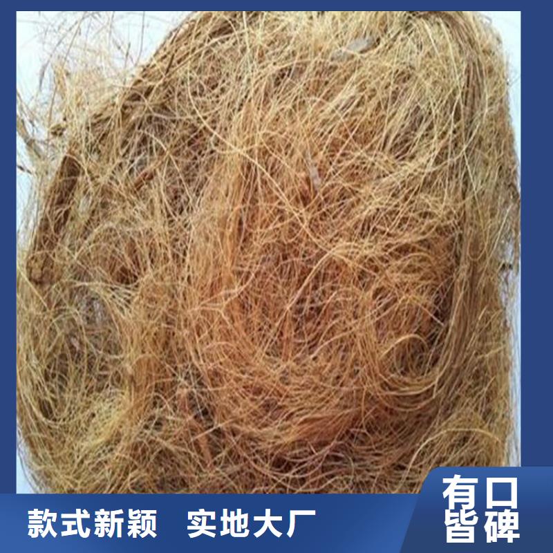 椰纤植生毯护坡植被植草毯