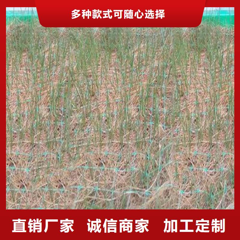 椰丝毯土工材料自产自销