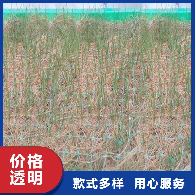 椰丝毯土工布高性价比