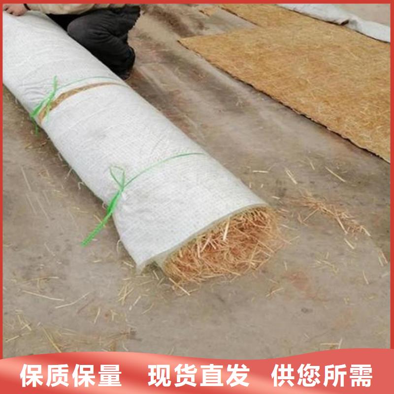 护坡植被植草毯产品动态-已更新