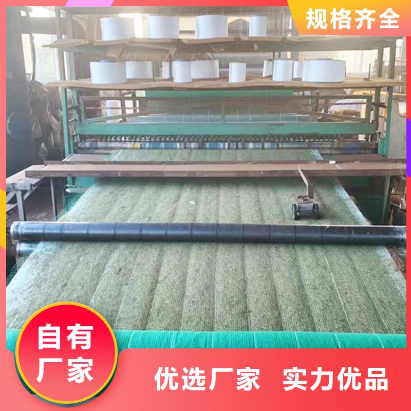 椰絲毯土工布誠信經(jīng)營現(xiàn)貨現(xiàn)發(fā)