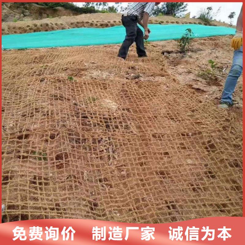椰絲毯土工布高性價比
