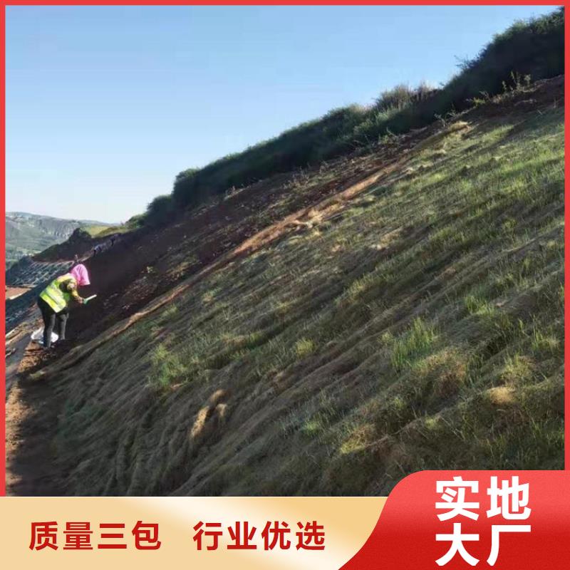 椰絲毯土工布誠信經(jīng)營現(xiàn)貨現(xiàn)發(fā)