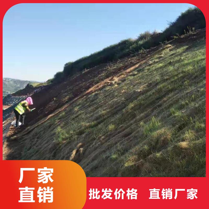 椰丝毯土工布高性价比