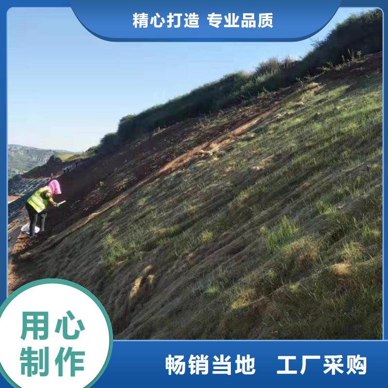 护坡植被植草毯