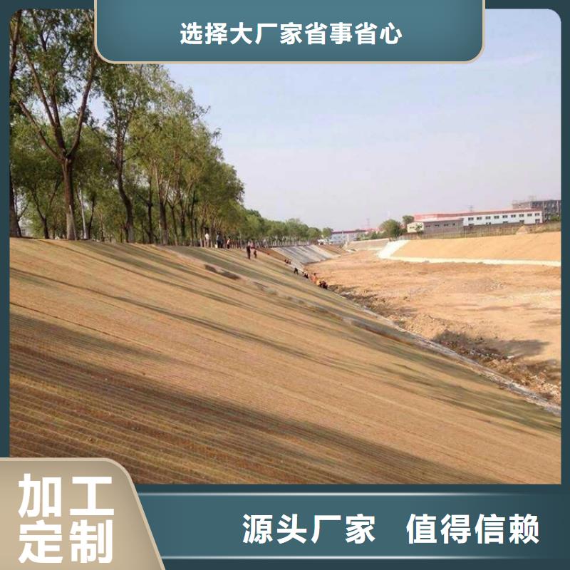 椰纤植生毯护坡植被植草毯