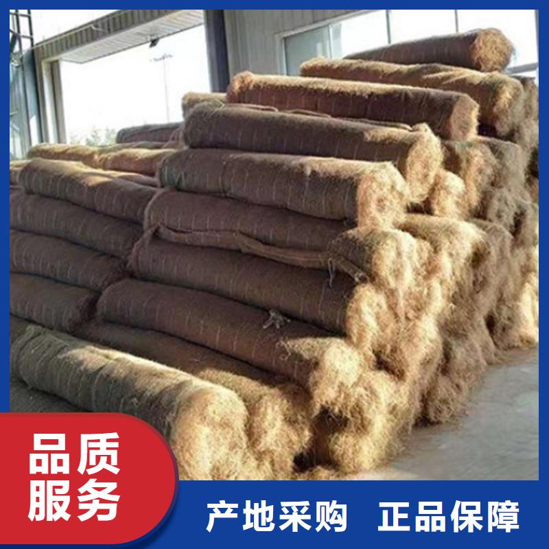椰丝毯无纺布一手价格