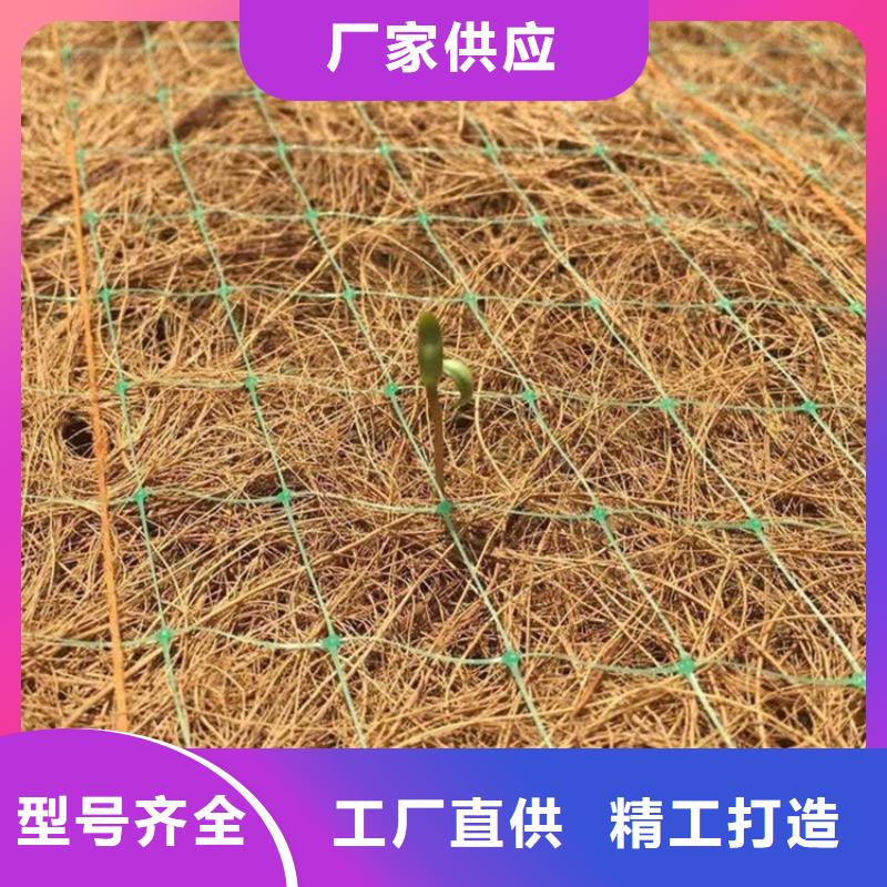 椰丝毯无纺布一手价格