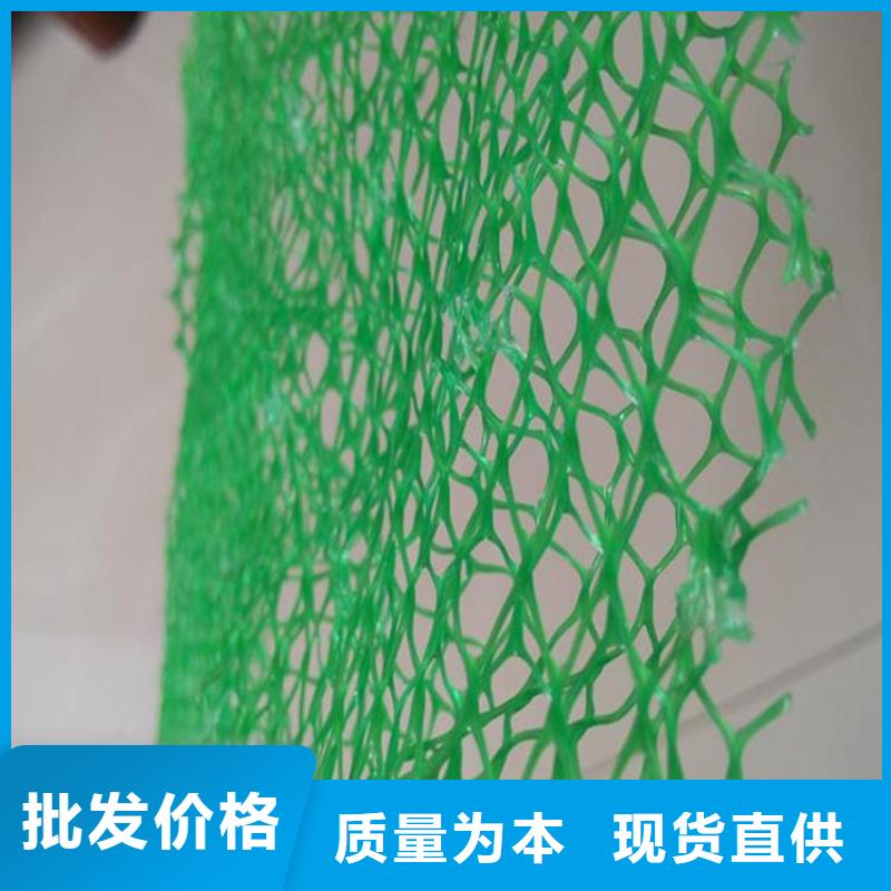 三維植被網土工格柵型號全價格低