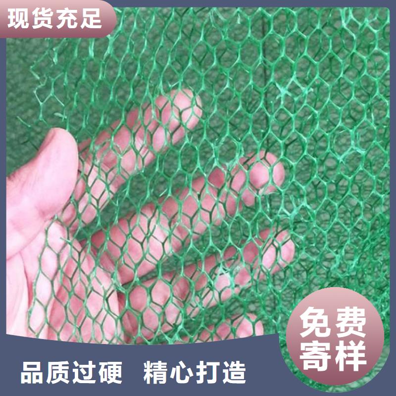 三維植被網(wǎng)塑料盲溝采購(gòu)
