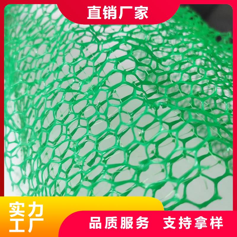 三维植被网塑料盲沟采购