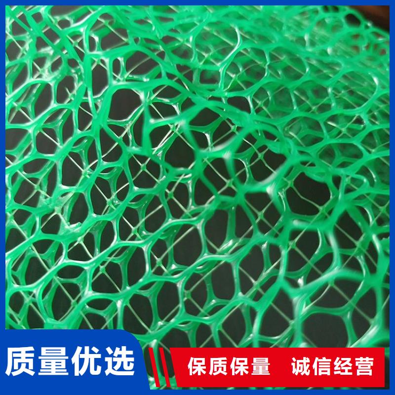 三維植被網(wǎng)塑料盲溝大量現(xiàn)貨供應