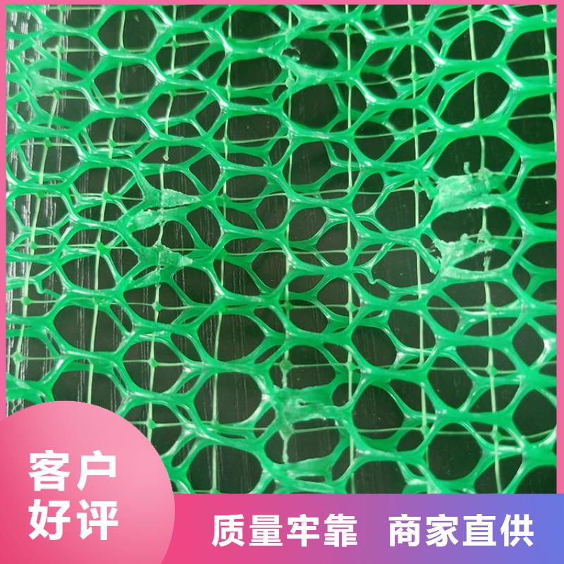 三维植被网塑料盲沟采购