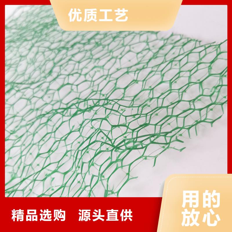 三維植被網(wǎng)塑料盲溝采購(gòu)