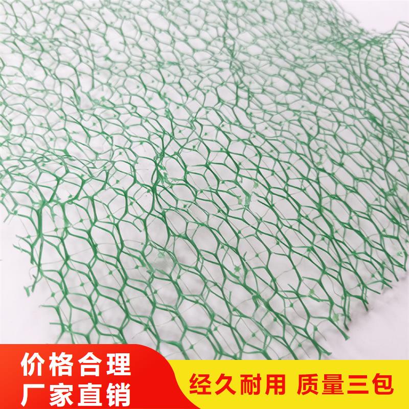 三維植被網(wǎng)土工格柵型號(hào)全價(jià)格低