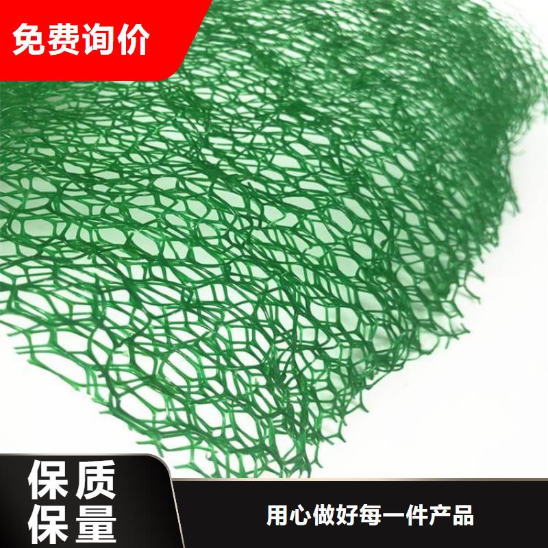 三维植被网_土工格栅货源直销