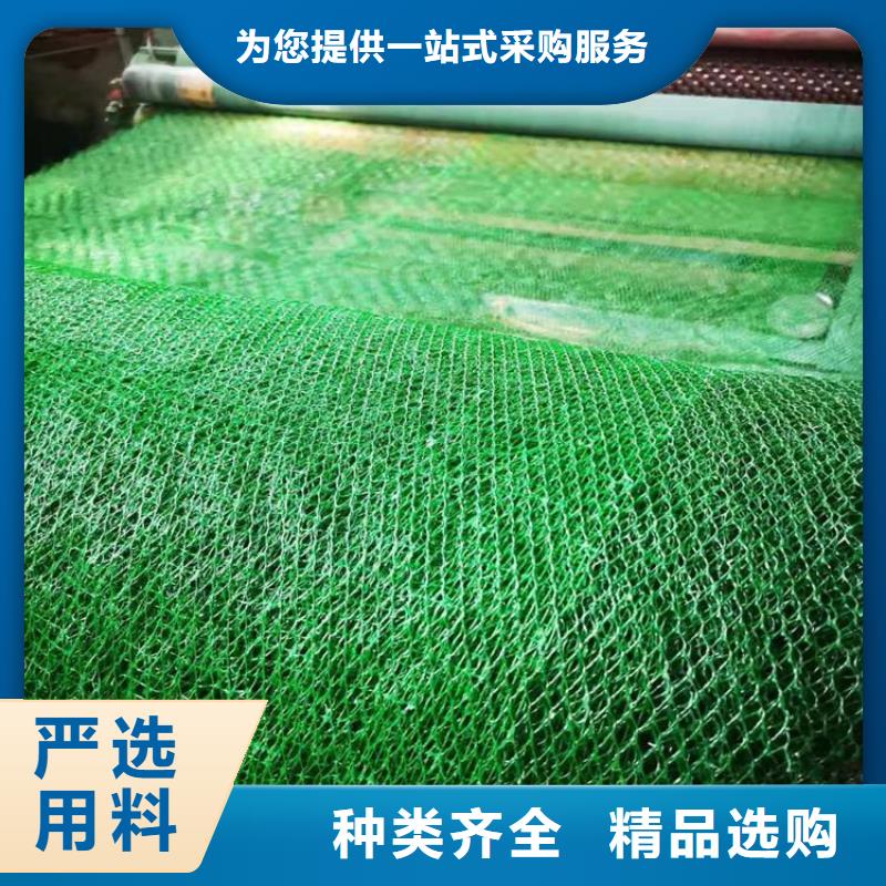 三维植被网塑料盲沟大量现货供应