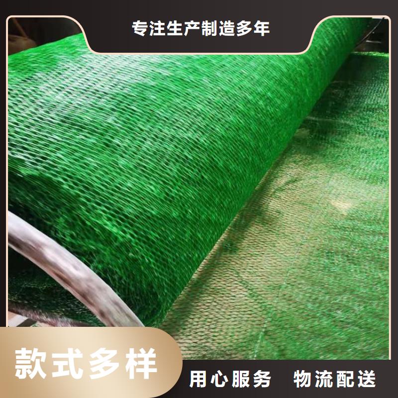 三維植被網(wǎng)塑料盲溝采購