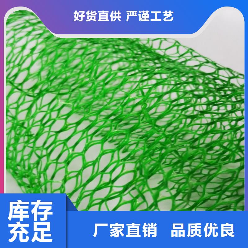 三維植被網土工格柵型號全價格低