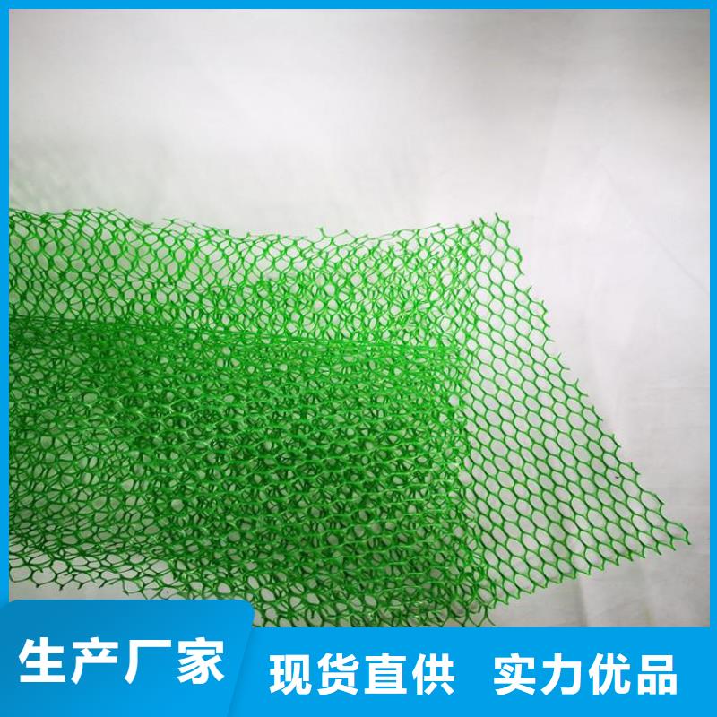 三維植被網(wǎng)塑料盲溝大量現(xiàn)貨供應