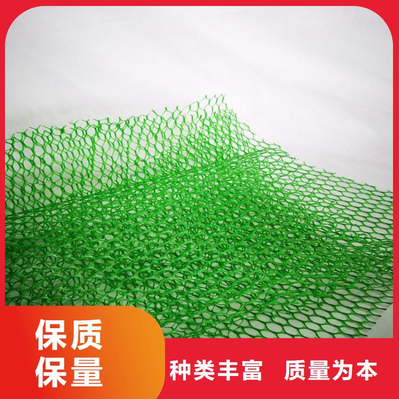 三維植被網(wǎng)聚酯玻纖布本地廠家值得信賴