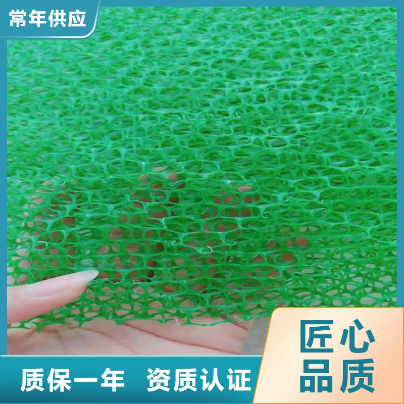 三維植被網土工格柵型號全價格低