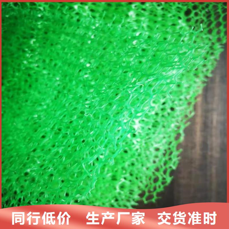 三维植被网_土工格栅货源直销