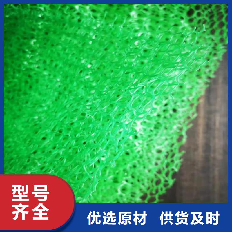 三维植被网软式透水管实力才是硬道理