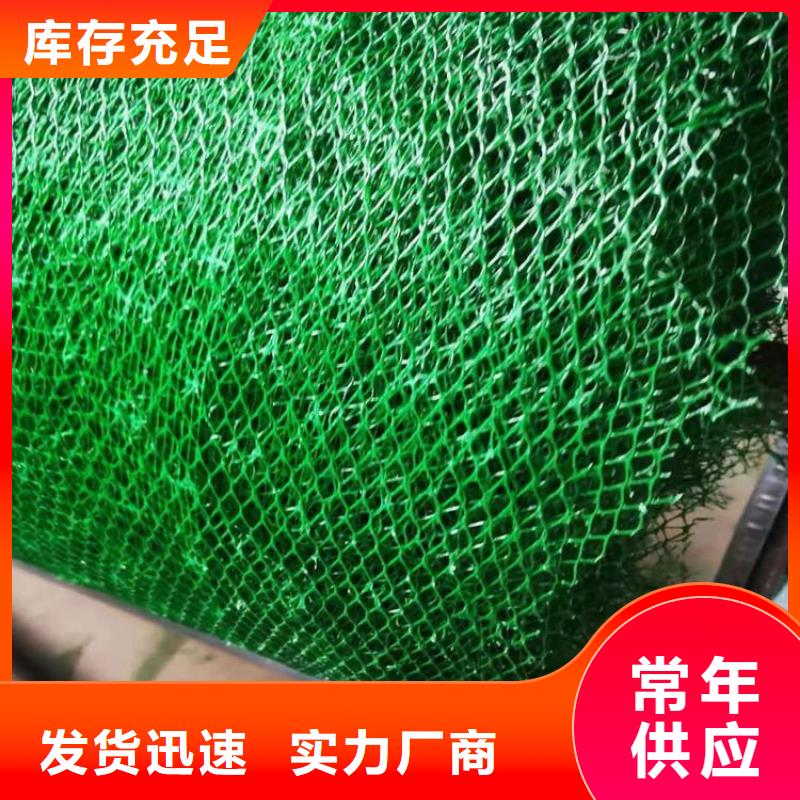 三維植被網(wǎng)_土工格柵貨源直銷