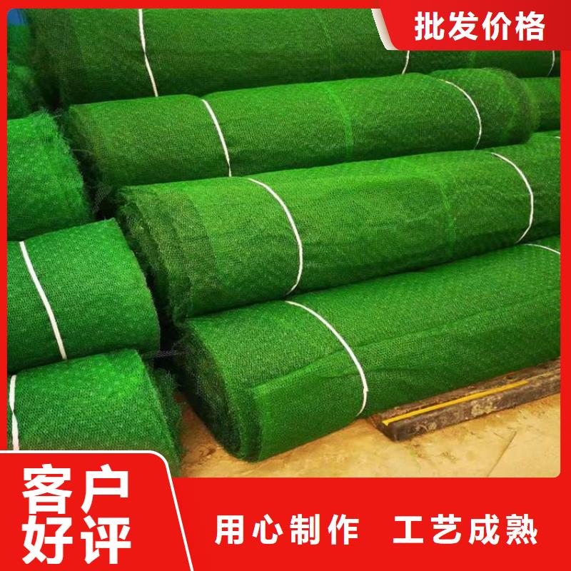 三维植被网软式透水管实力才是硬道理