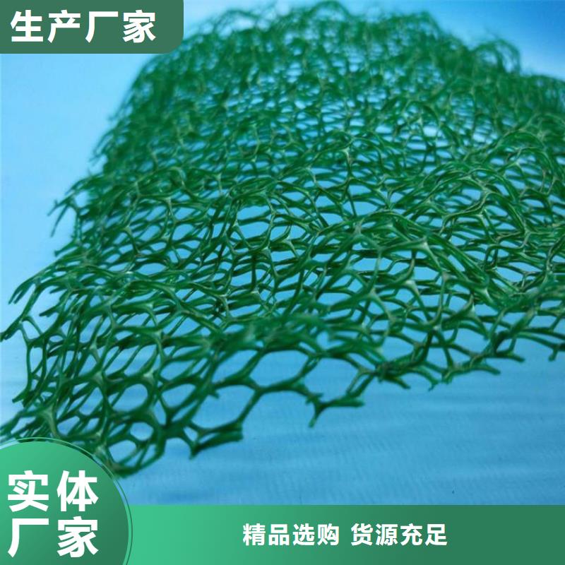 三維植被網(wǎng)塑料盲溝采購(gòu)