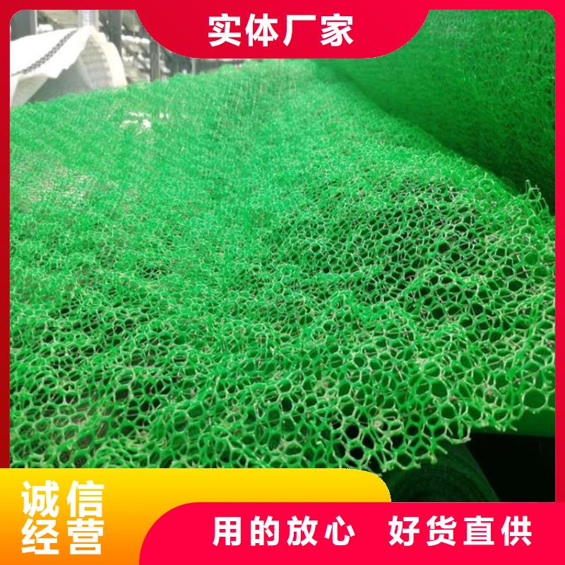 三維植被網(wǎng)塑料盲溝大量現(xiàn)貨供應