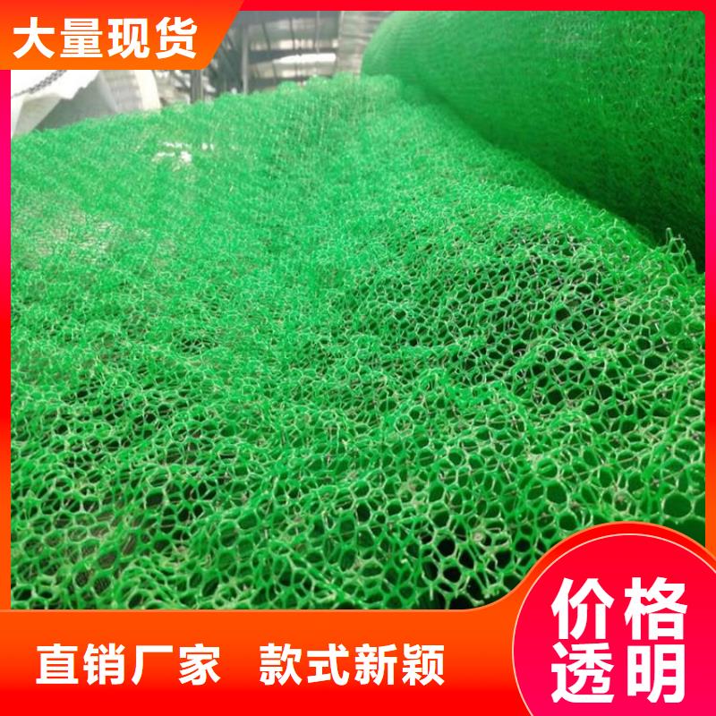三維植被網(wǎng)聚酯玻纖布本地廠家值得信賴