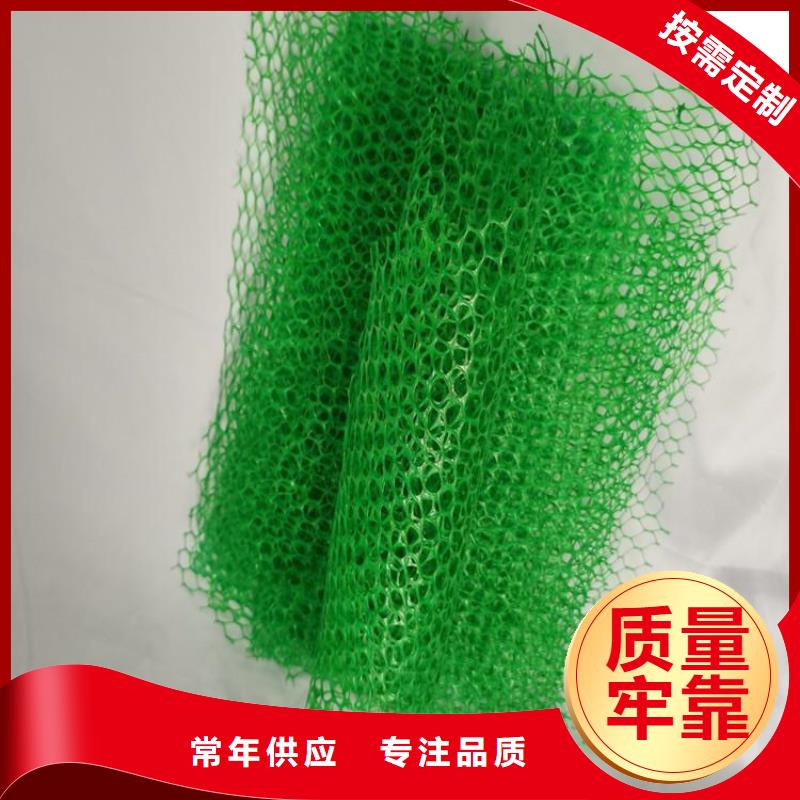 塑料EM2三维固土网垫