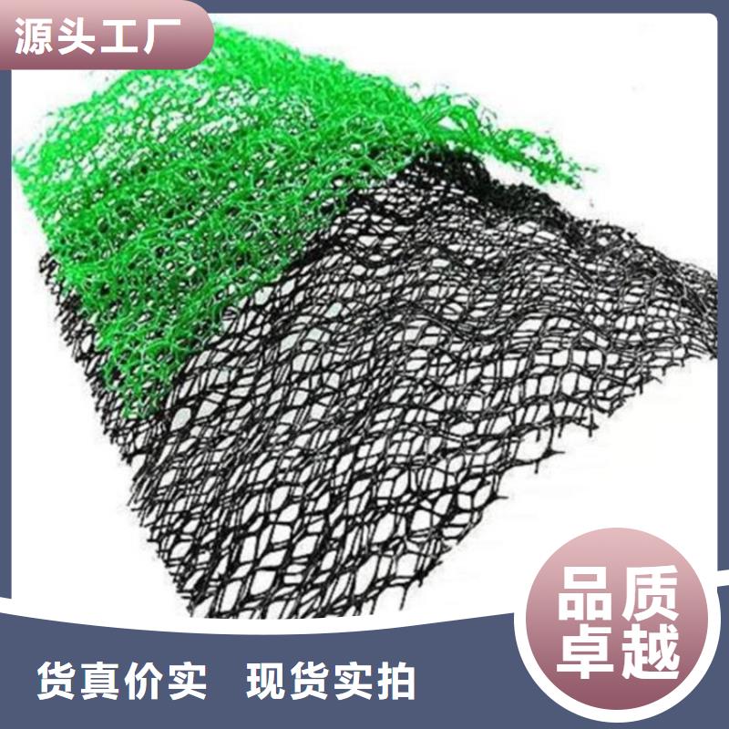 三维植被网软式透水管实力才是硬道理