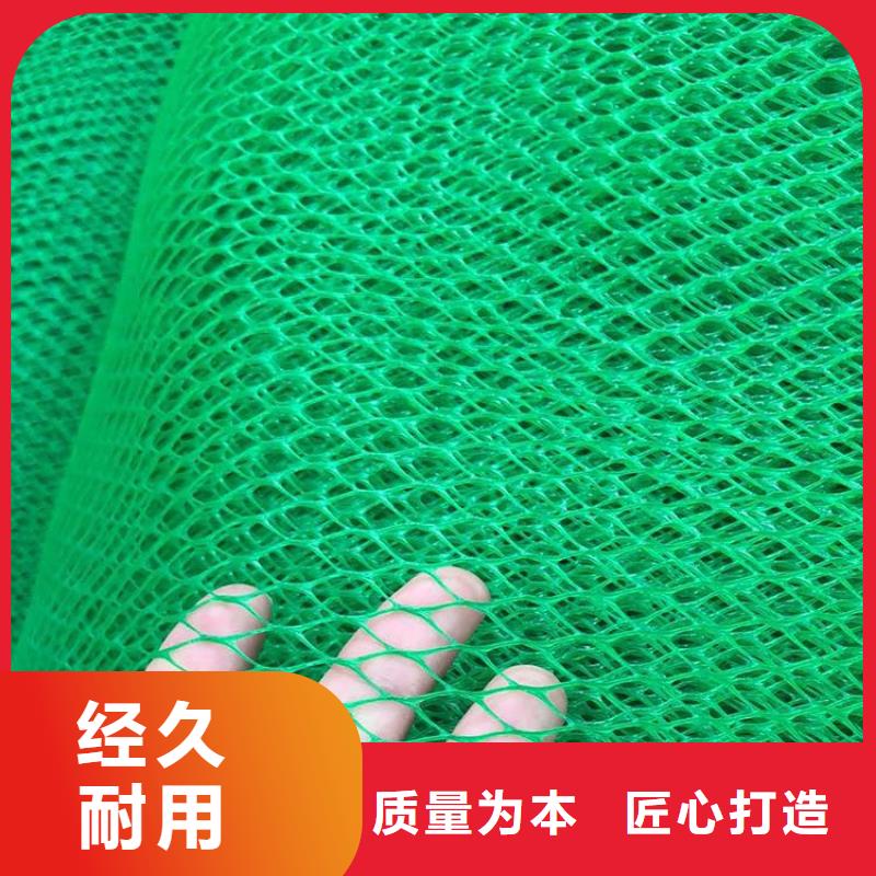 三維植被網(wǎng)-防水板免費(fèi)回電