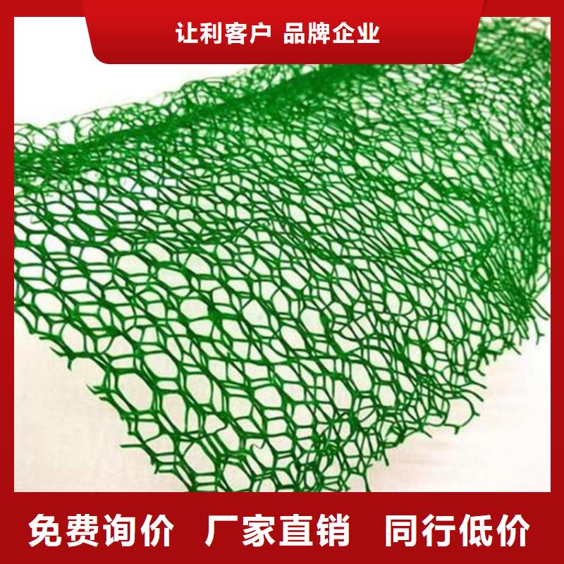 塑料EM2三维固土网垫
