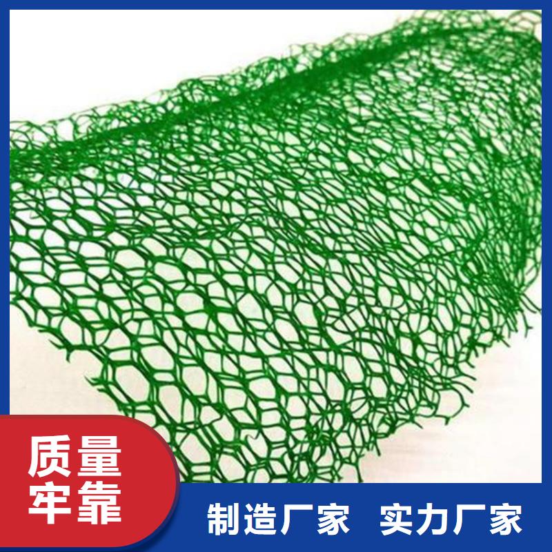 三维植被网_土工格栅货源直销