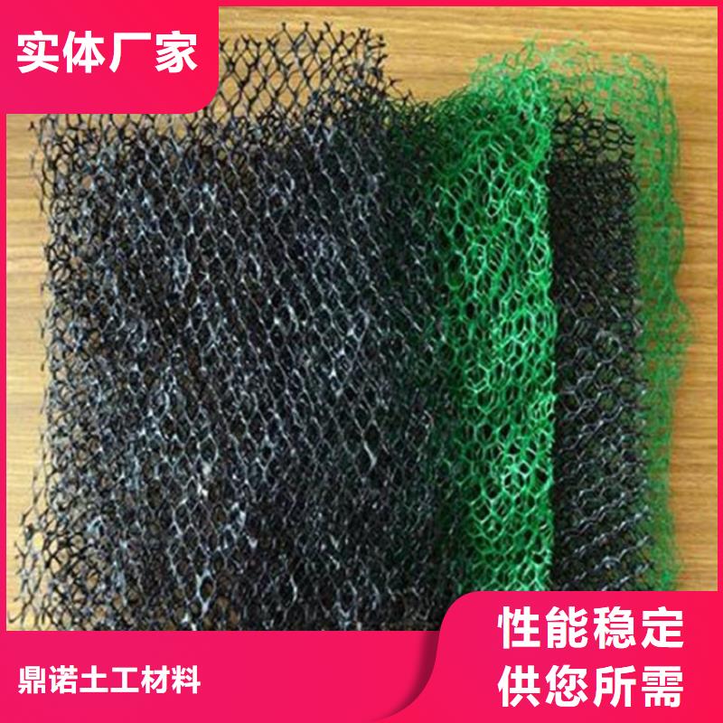 三維植被網(wǎng)_土工格柵貨源直銷