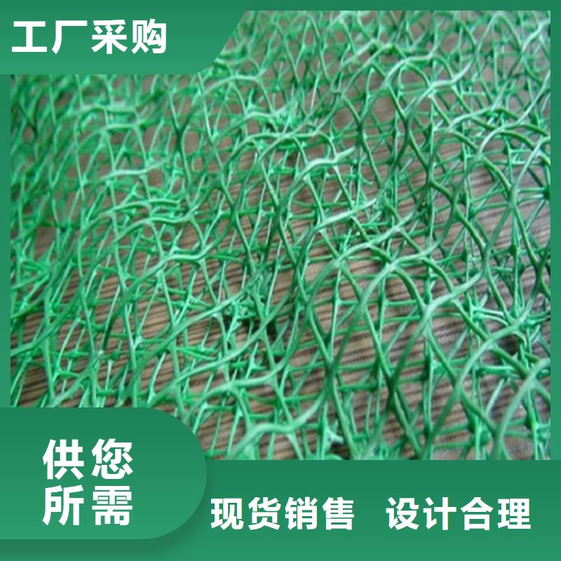 三维植被网_土工格栅货源直销