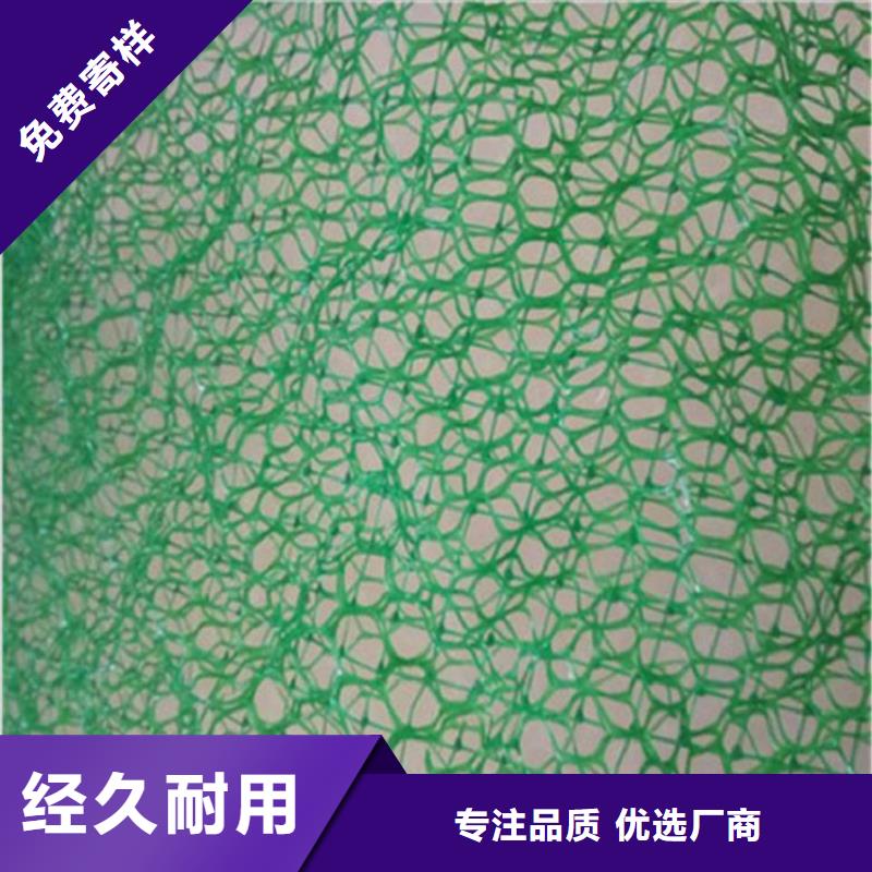 三维植被网塑料盲沟采购