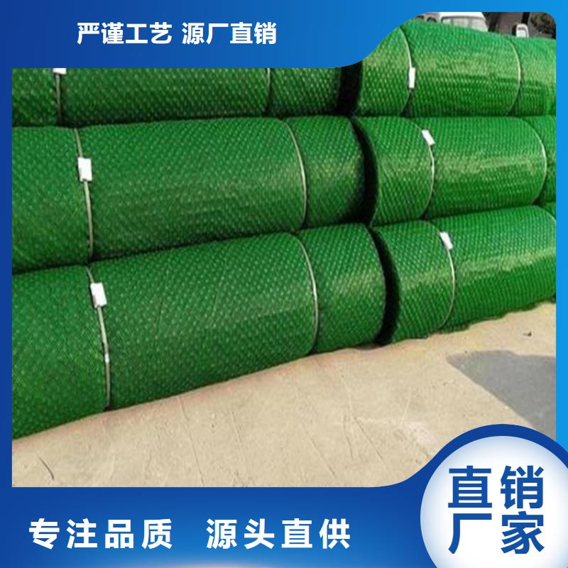 三維植被網(wǎng)_土工格柵貨源直銷