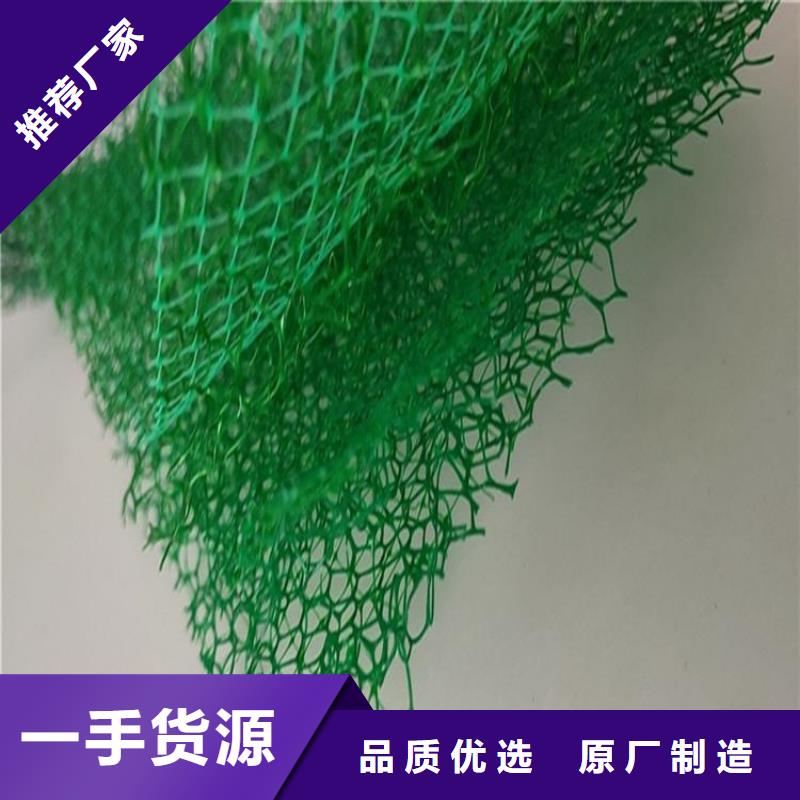 三维植被网塑料盲沟采购