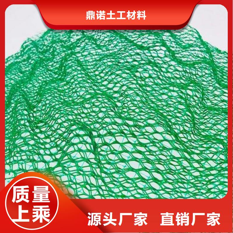 三维植被网塑料盲沟大量现货供应