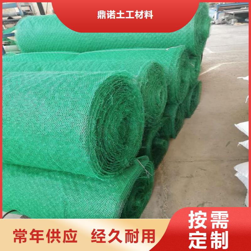 三维植被网_土工格栅货源直销